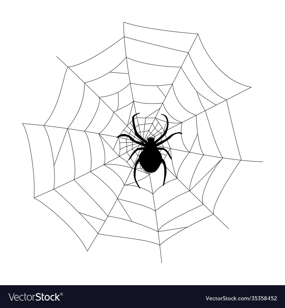 Black spider and cobweb silhouette Royalty Free Vector Image