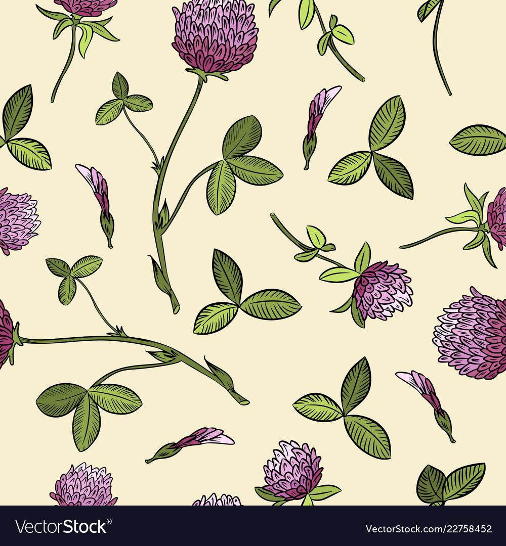 Red clover botanical seamless pattern vector image Red clover botanical seamless pattern