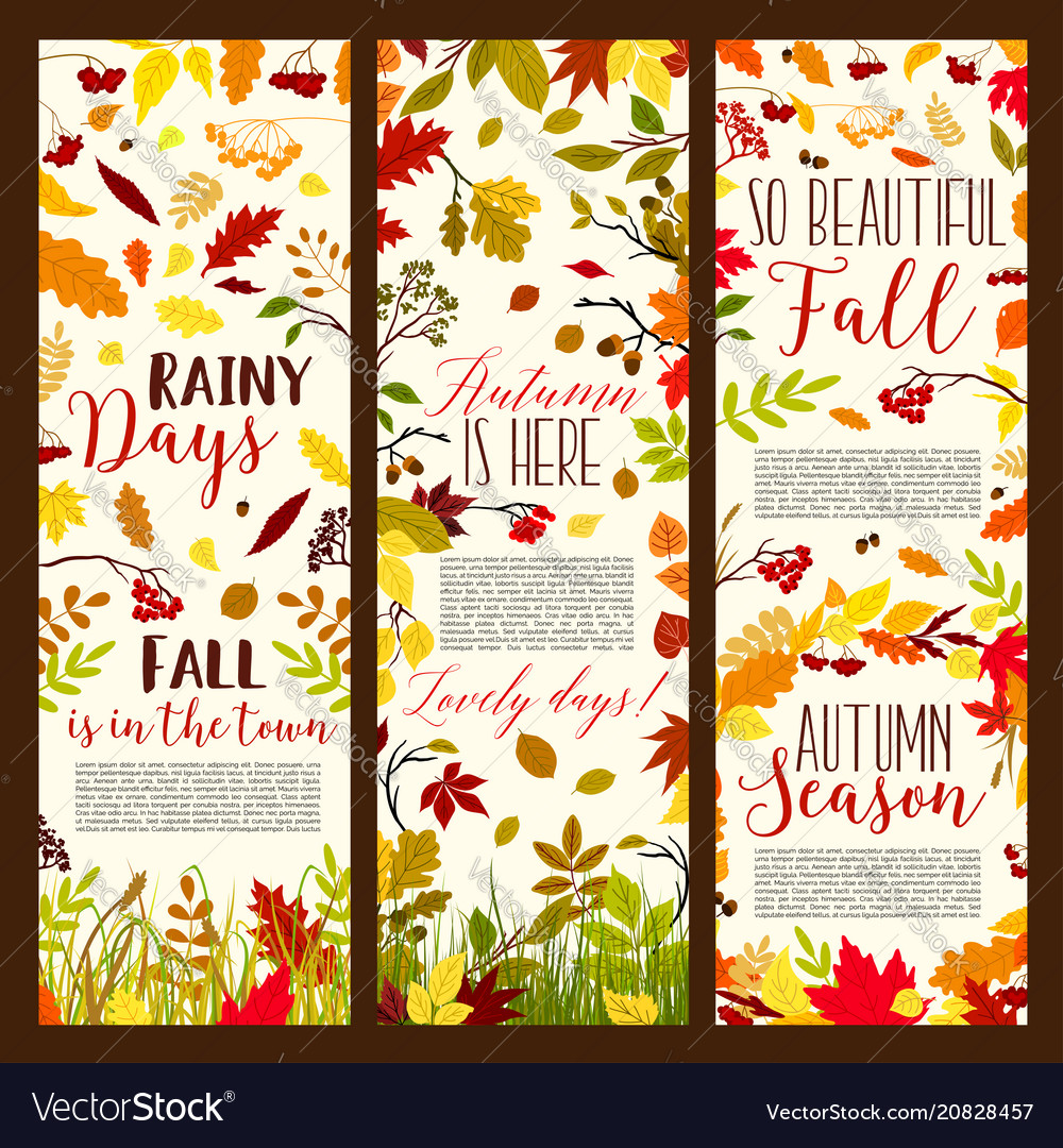 Autumn Or Fall Seasonal Banners Set Royalty Free Vector