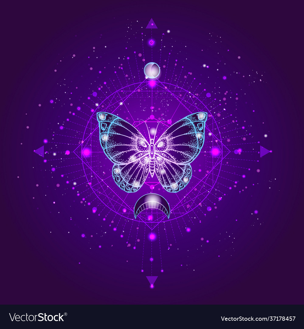 Schmetterling und heiliges geometrisches Symbol vector image Schmetterling und heiliges geometrisches Symbol
