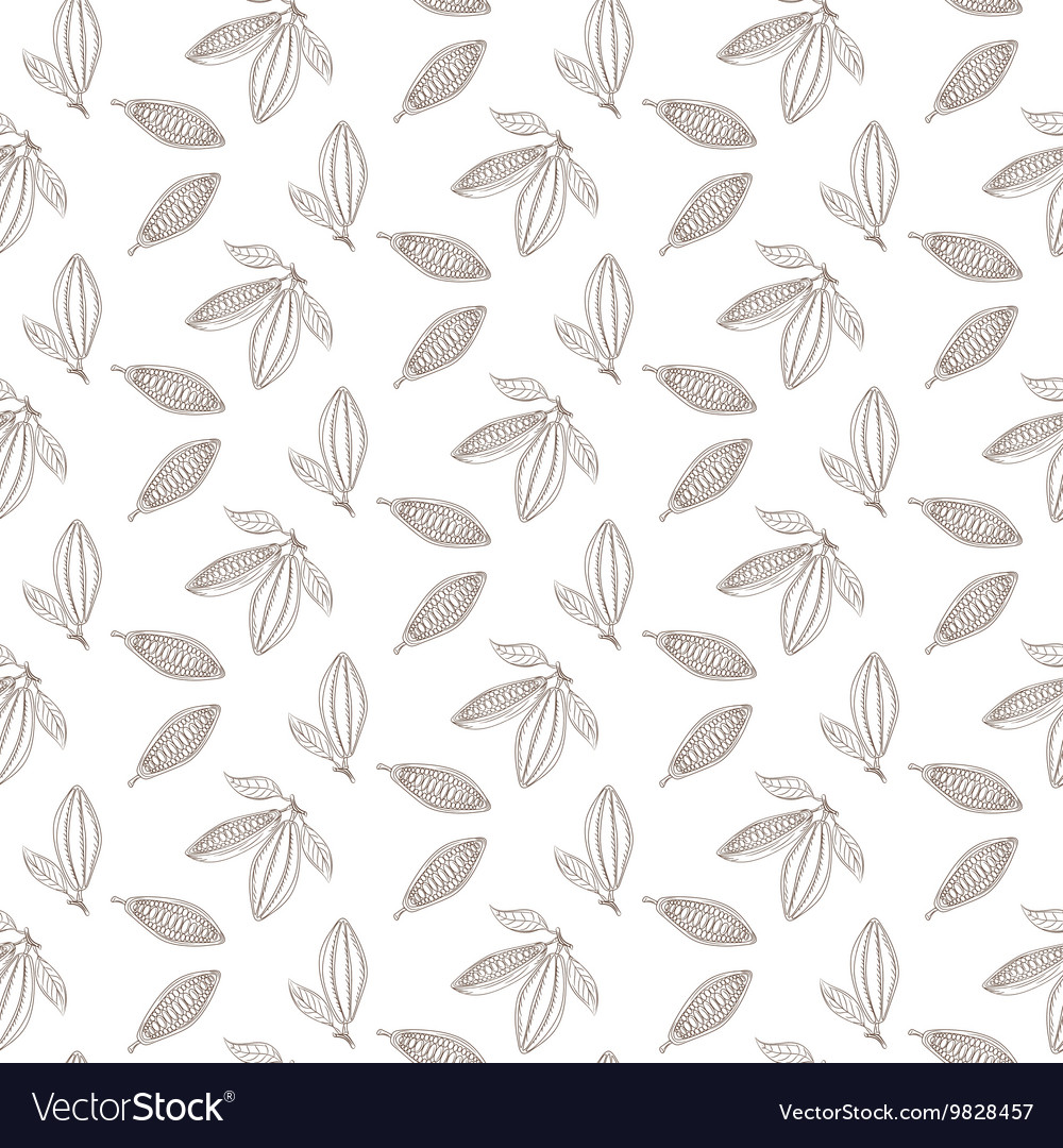Cocoa Bean Outline Pattern