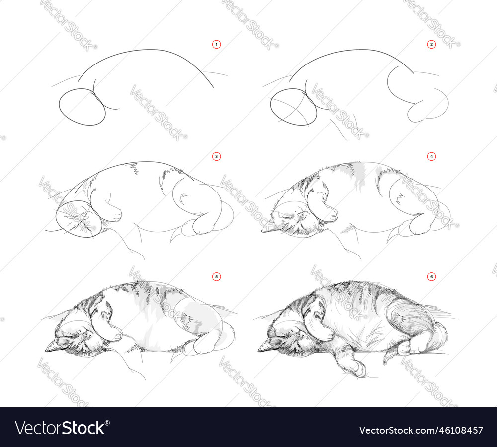 Page shows how to learn draw sketch of cute vector image Page shows how to learn draw sketch of cute