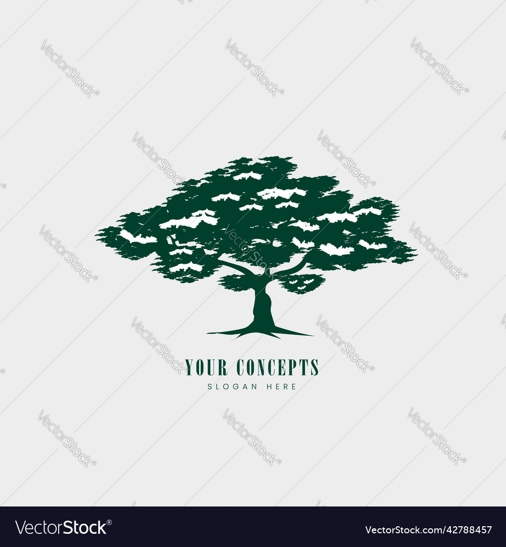 Tree silhouettes sketch on white background Vector Image