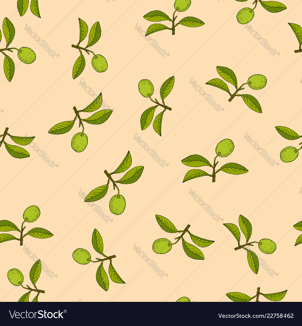 Citrus lime branch seamless pattern vector image Citrus lime branch seamless pattern