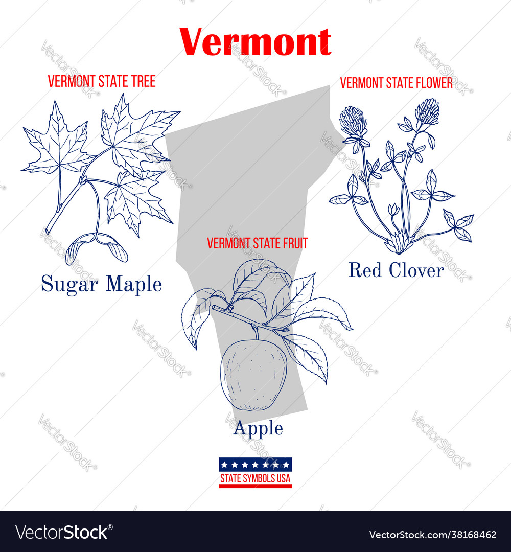 Vermont set usa official state symbols