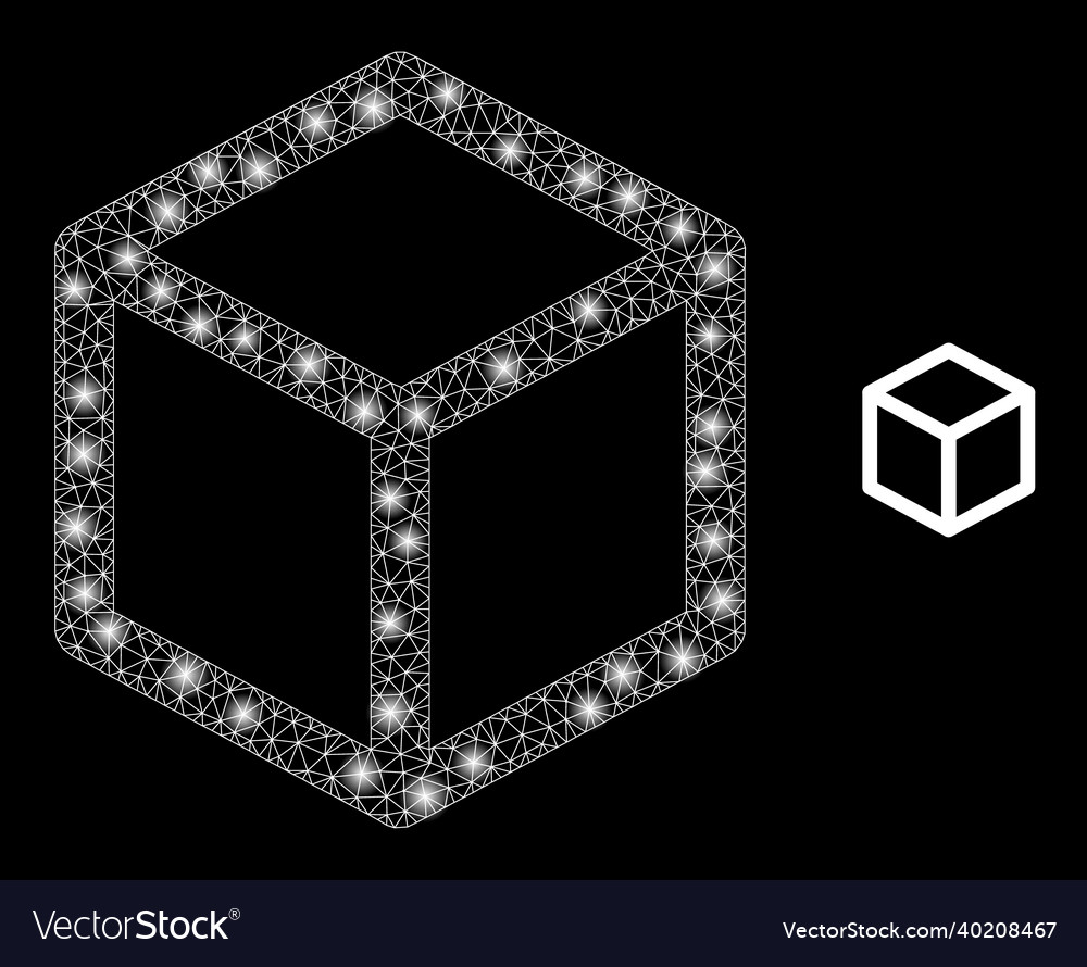 Mesh web isometric cube with majestic vector image Mesh web isometric cube with majestic