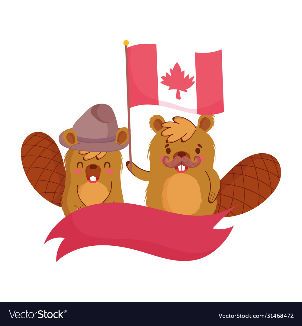 Beavers with canadian flag design Royalty Free Vector Image