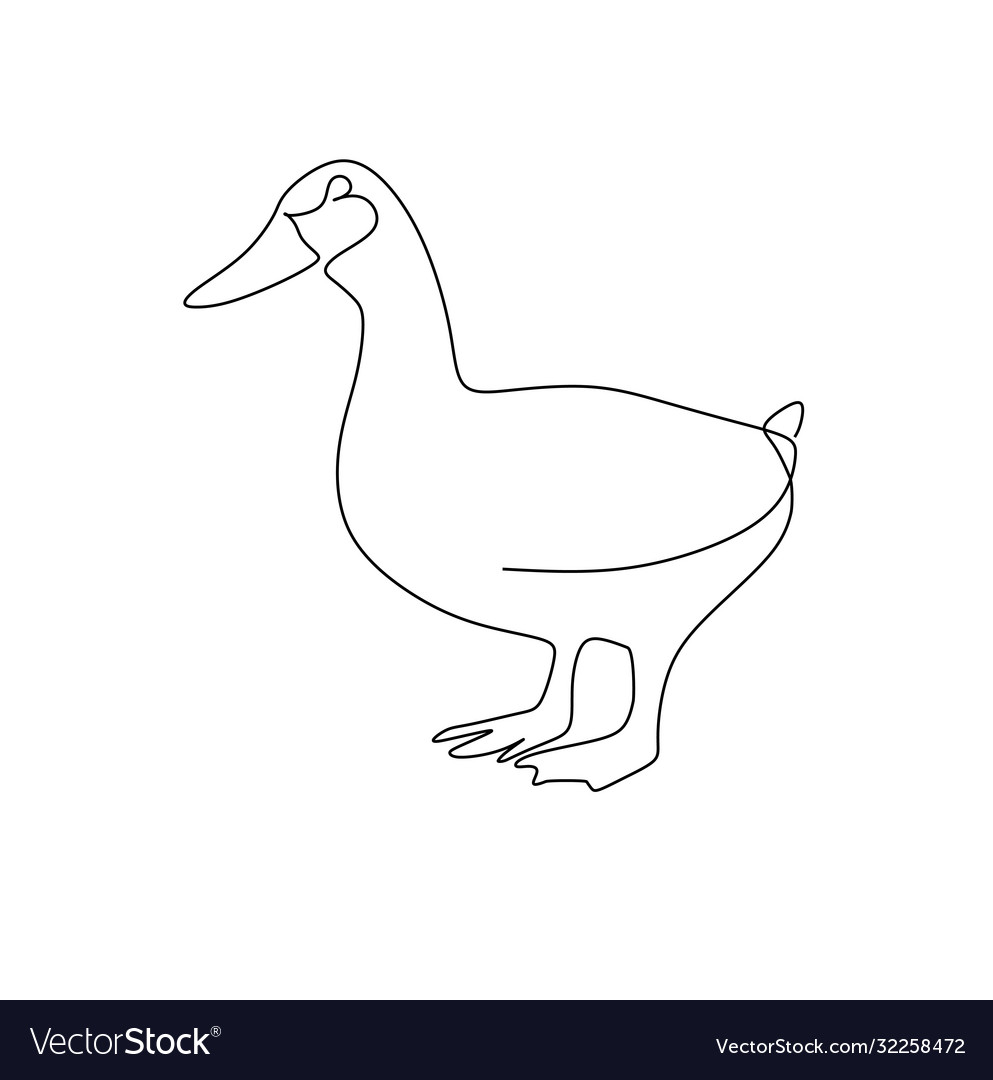 Continuous one line drawing a duck