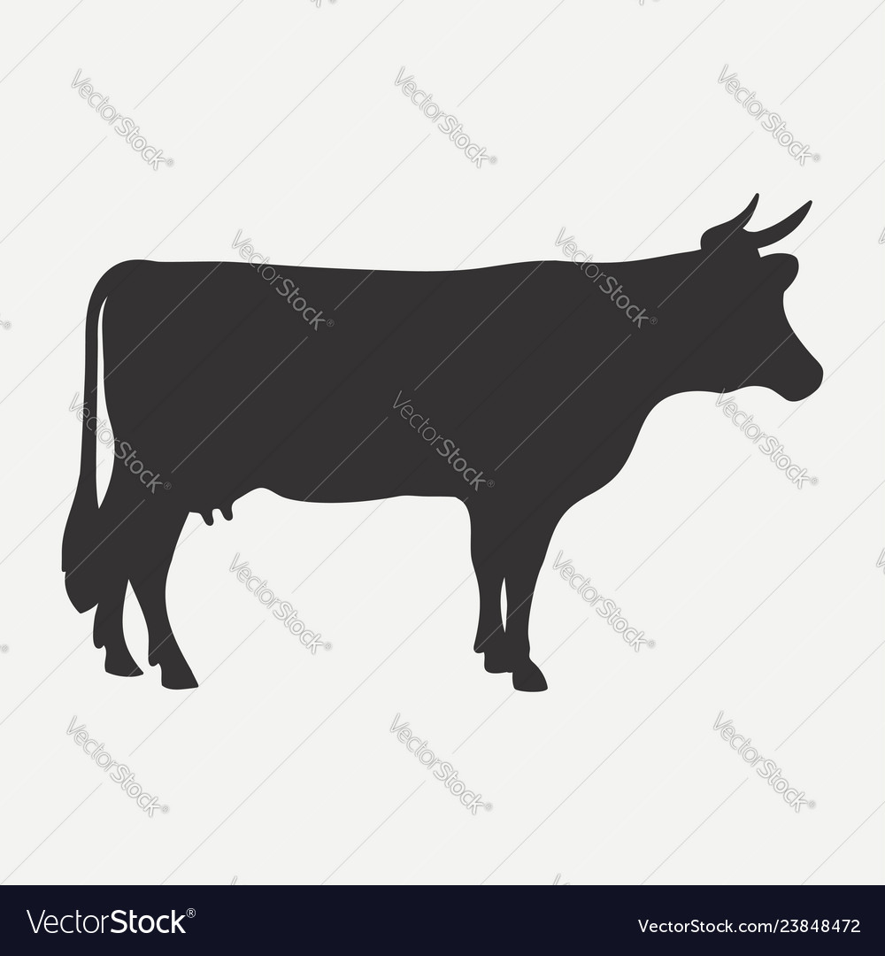 Cow icon vector image Cow icon