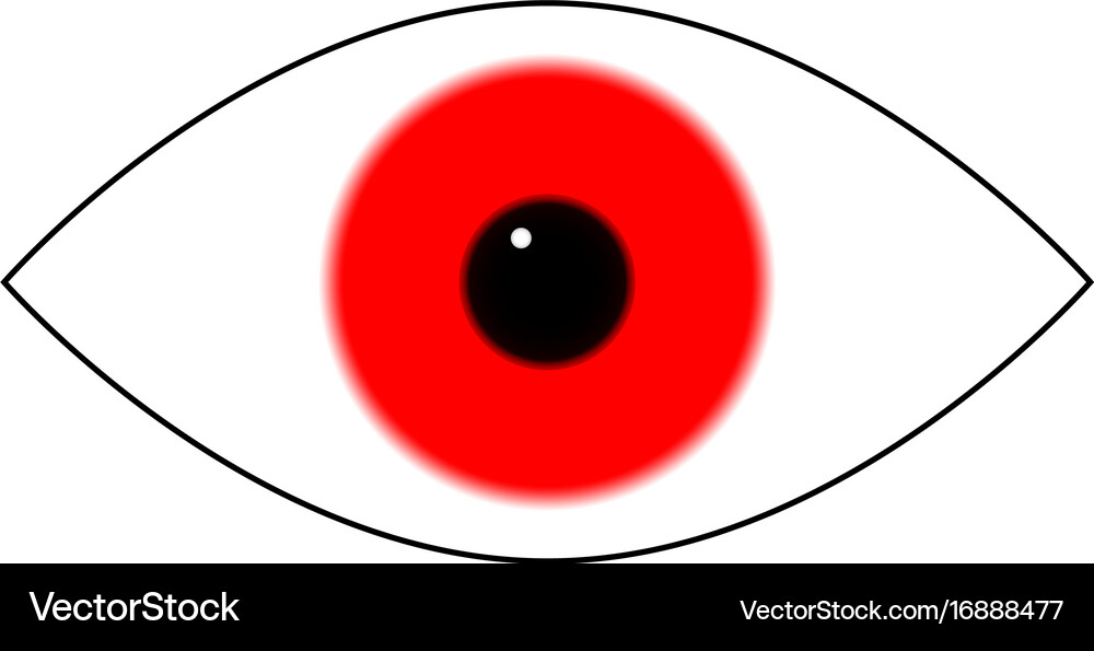 Eye icon Royalty Free Vector Image - VectorStock