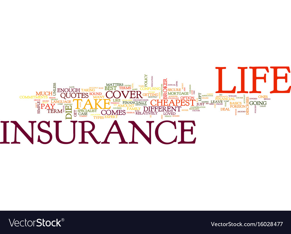 Go online for the cheapest life insurance quotes Vector Image