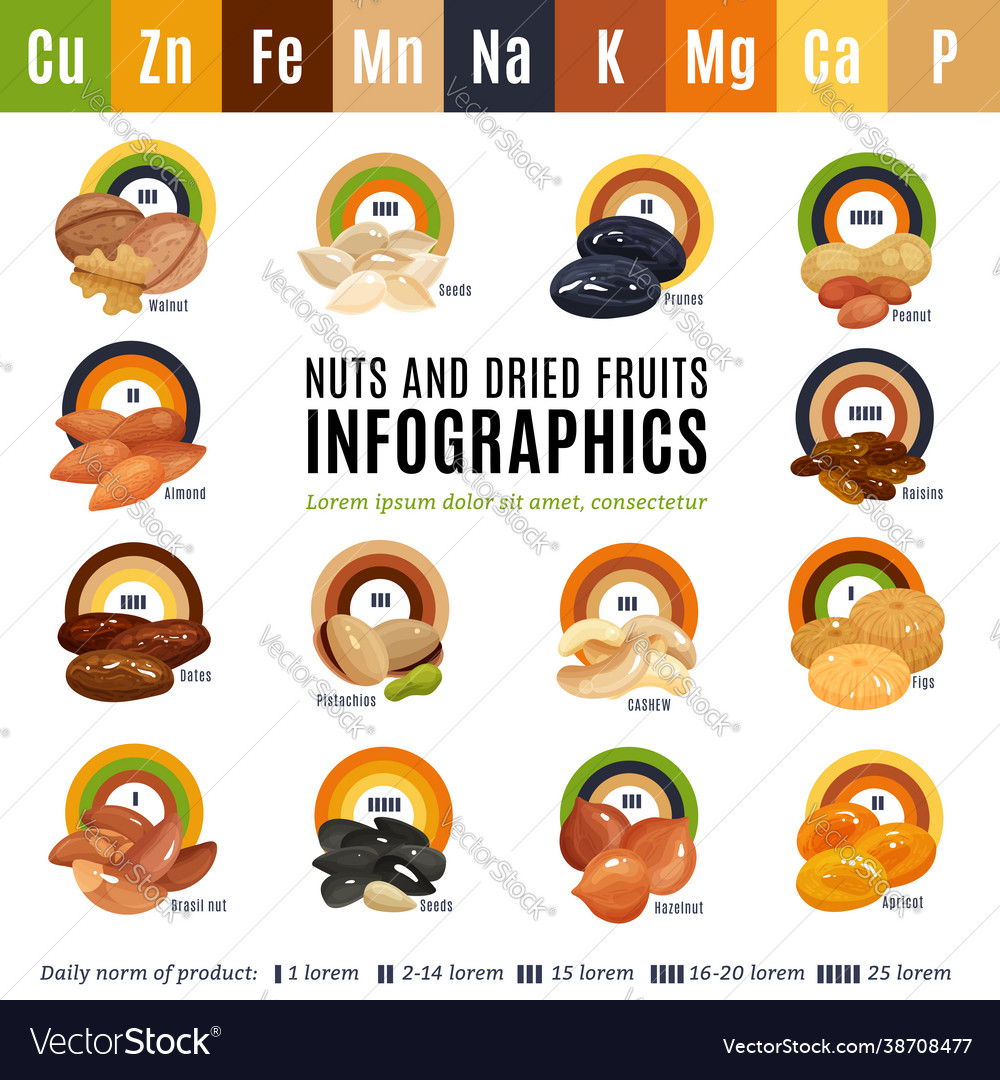 Nuts flat infographics