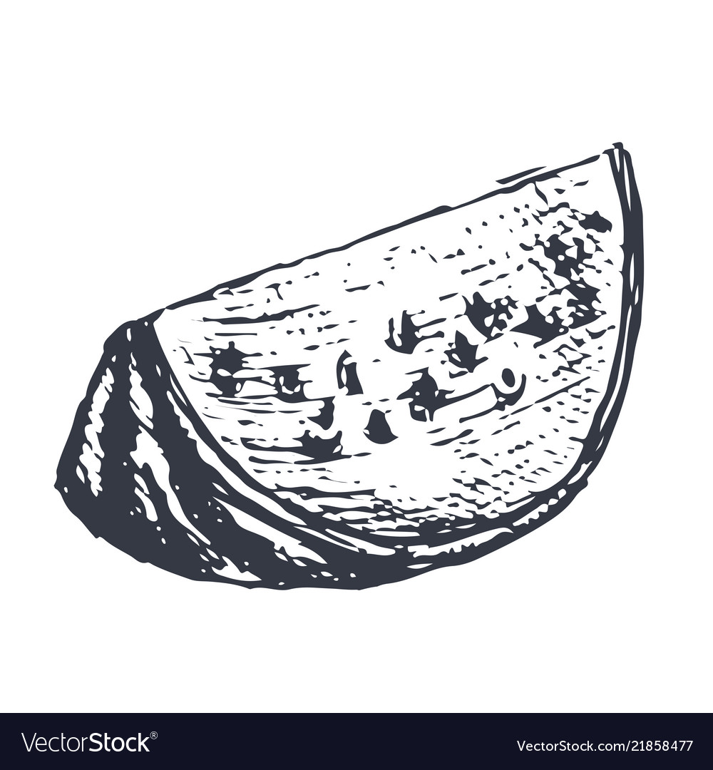 Watermelon Slice Hand Drawn Sketch In Grunge Vector Image