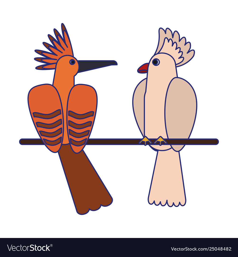 Exotic birds cartoons blue lines