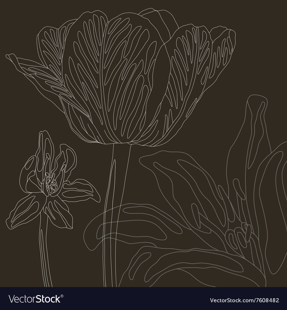 Stock floral background with tulip