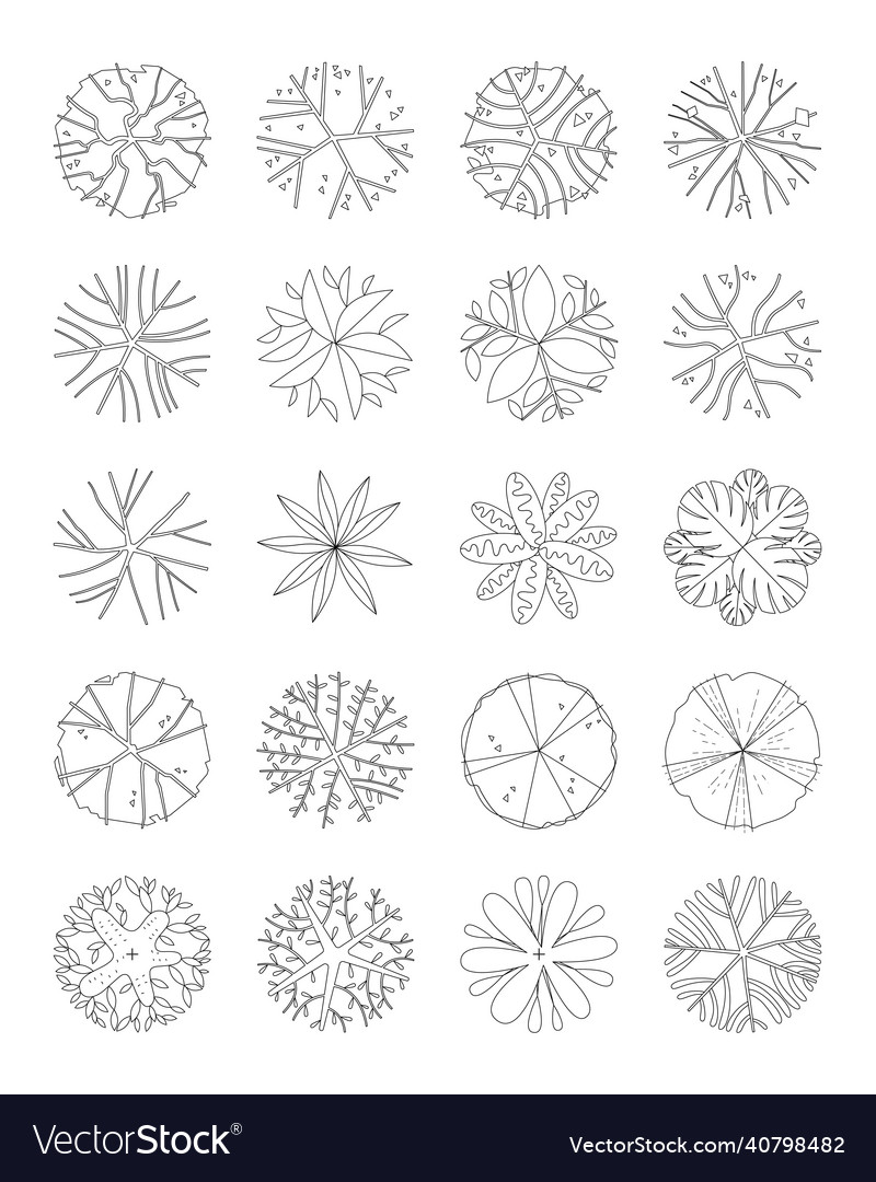 Top view tree set
