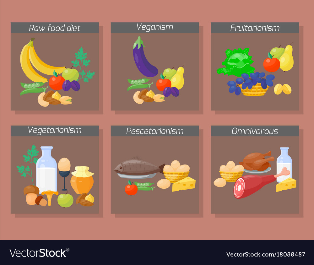 food-diet-types-healthy-royalty-free-vector-image