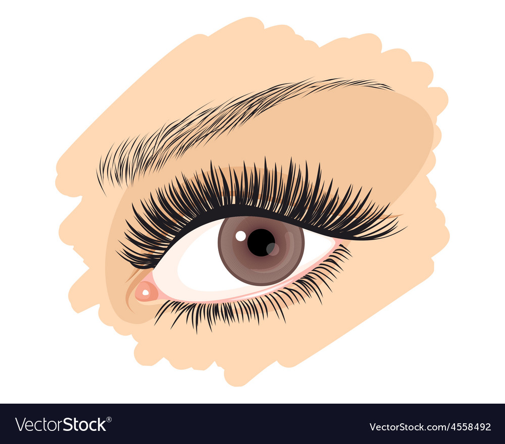 90 Royalty Free Vector Image - VectorStock