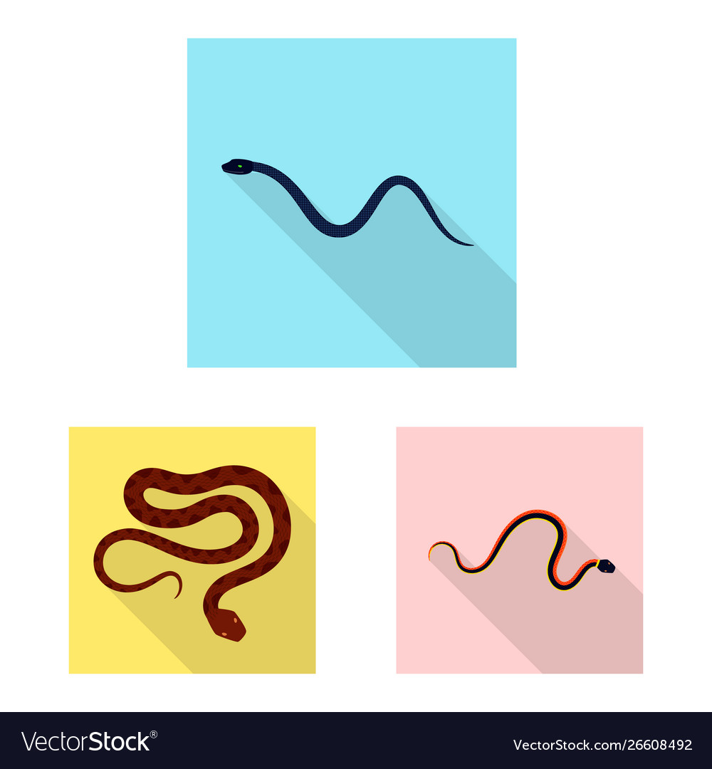 Isolated object skin and reptile symbol set