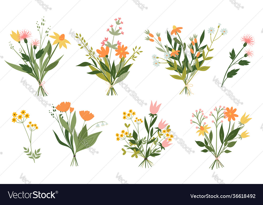 Set cute bouquets meadow flowers isolated