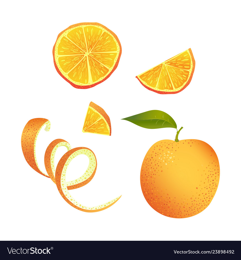 Set of parts of orange Royalty Free Vector Image