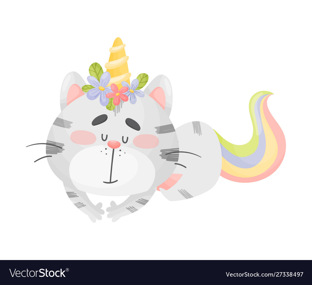 Unicorn cat is sleeping