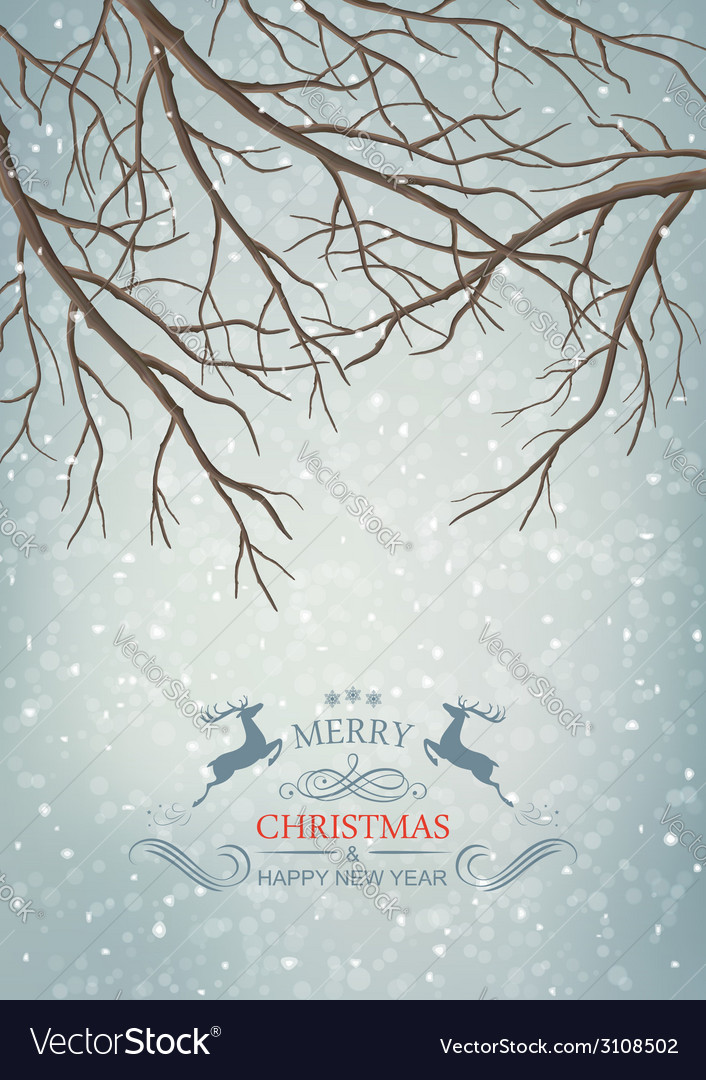 Winter Snowfall Branches