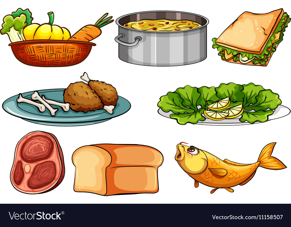 different-kinds-of-food-and-snack-royalty-free-vector-image