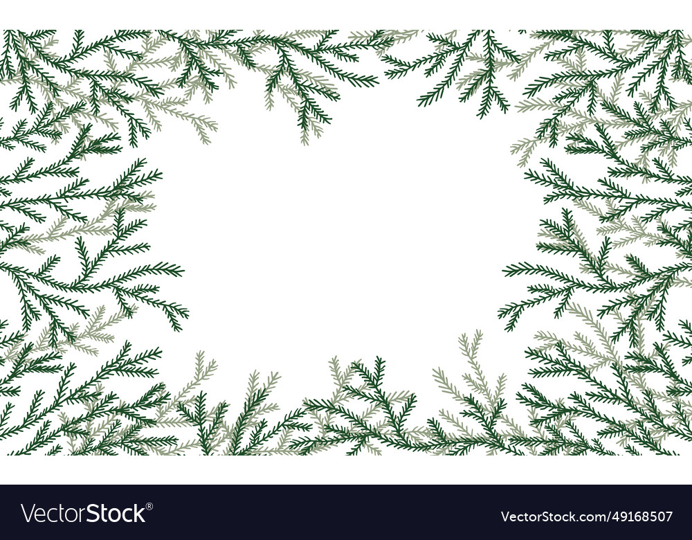 Frame branches of spruce tree in hand drawn style