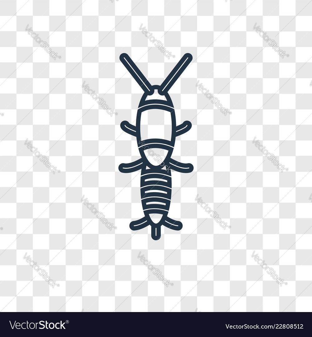 Silverfish concept linear icon isolated vector image Silverfish concept linear icon isolated