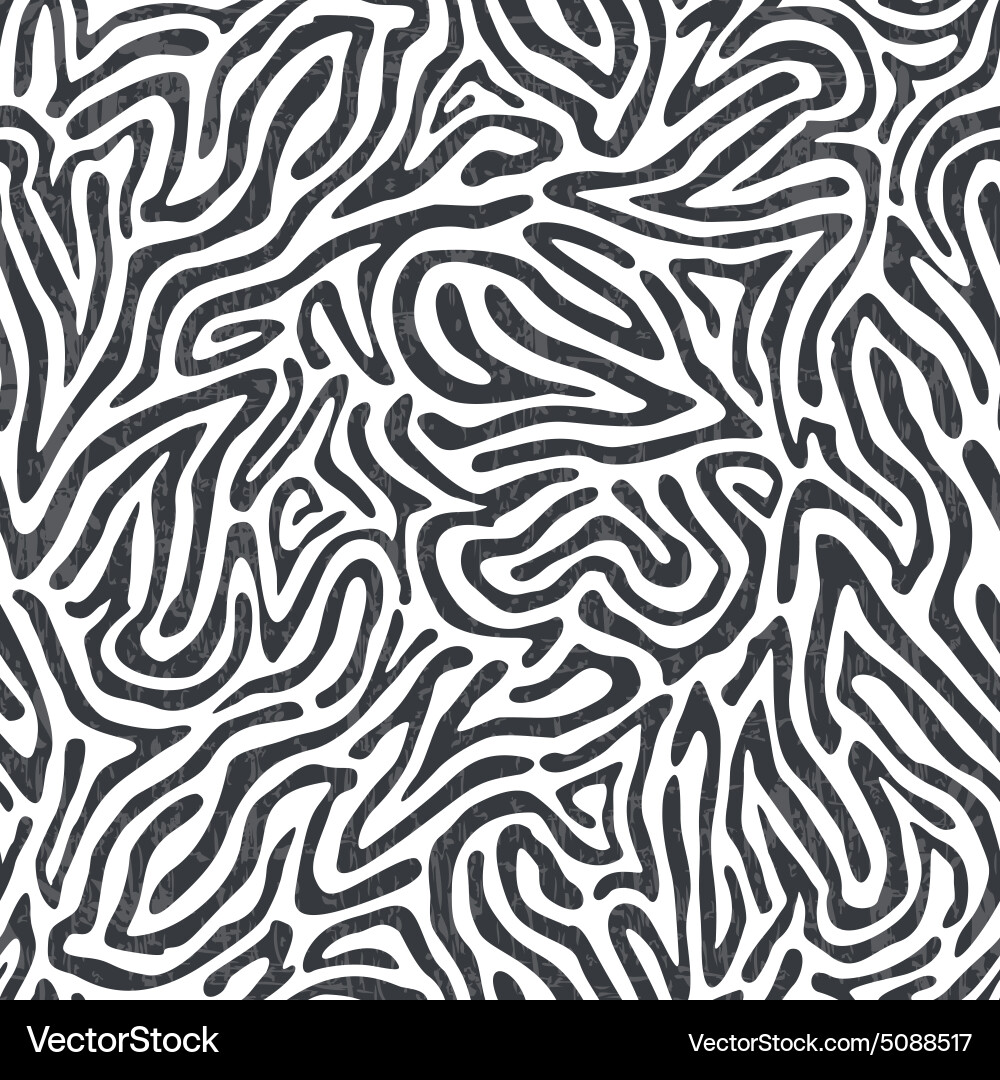 Abstract zebra skin pattern Royalty Free Vector Image