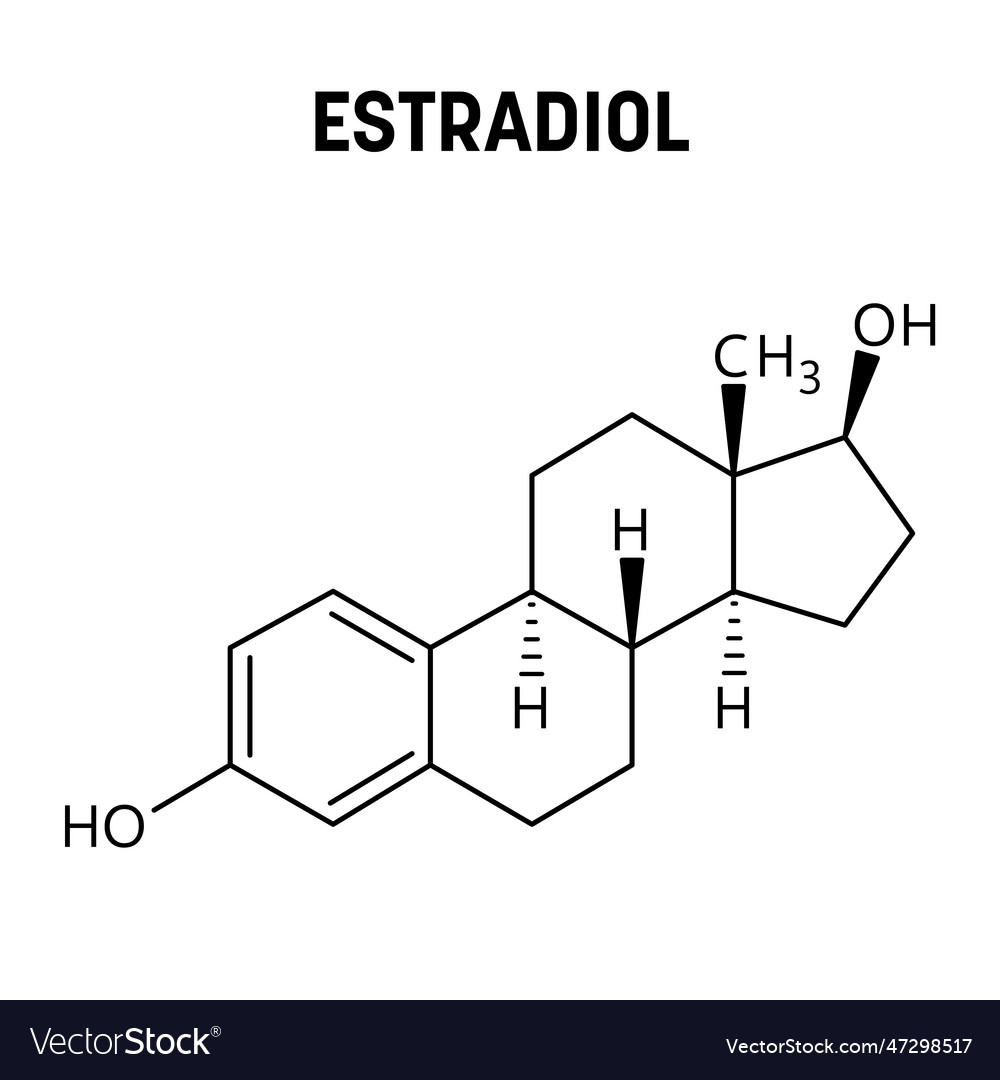 Estradiol structural formula of molecular Vector Image