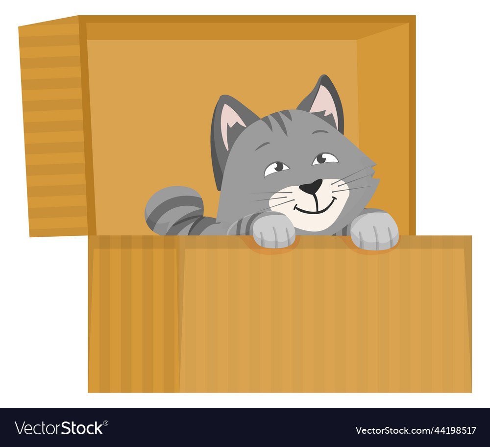 Kitten hide in box playing cat cute pet Royalty Free Vector