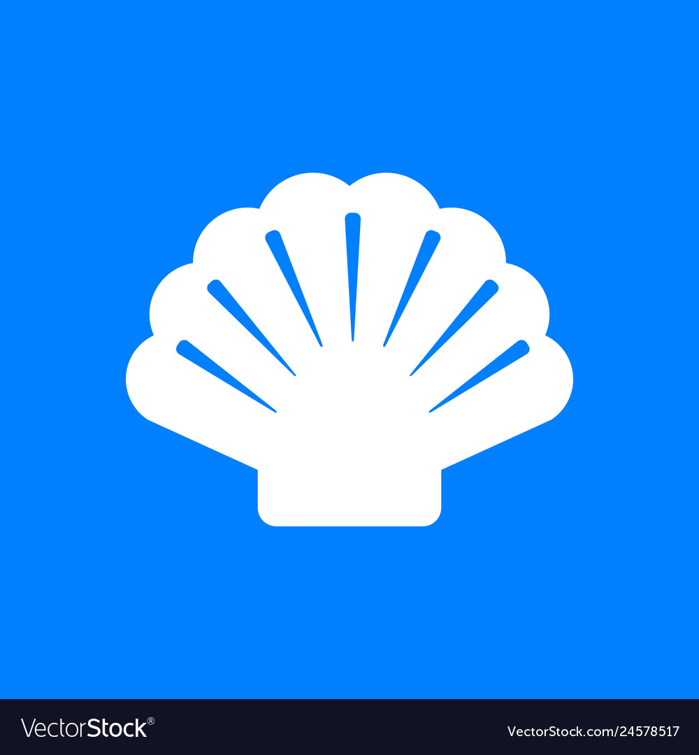 Shell and background
