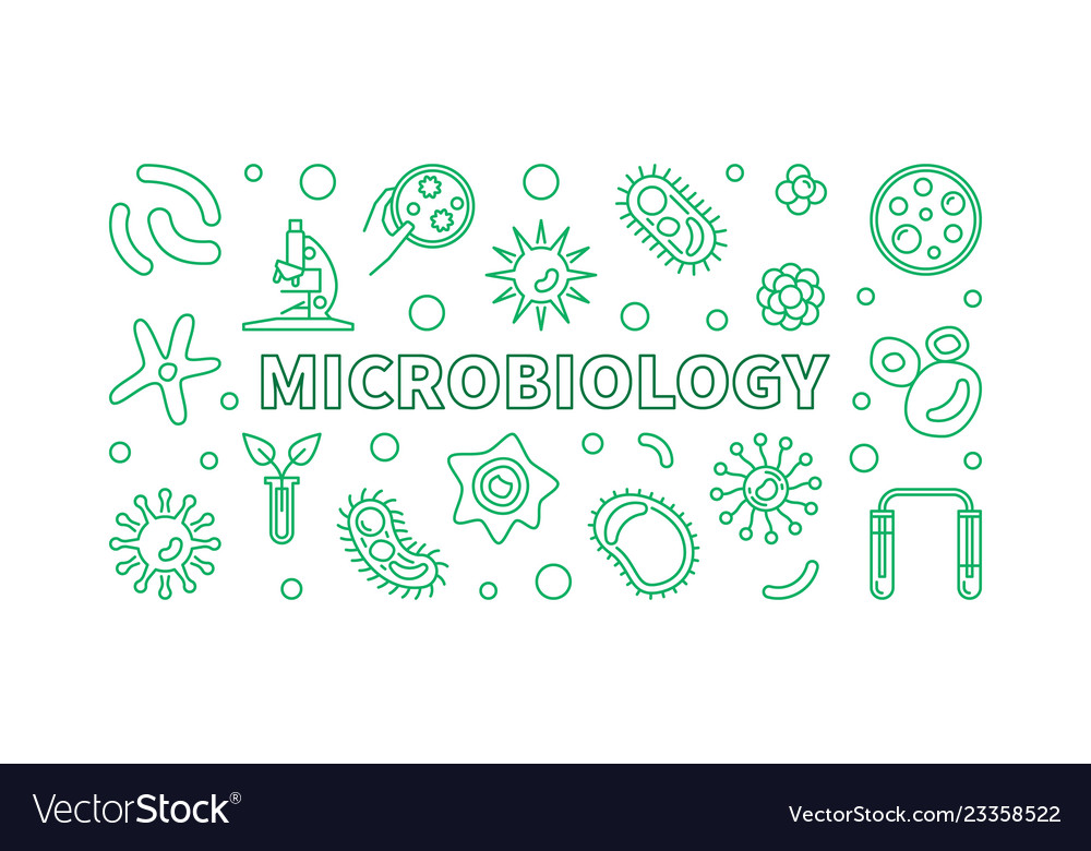 Microbiology line banner bacteriology Royalty Free Vector