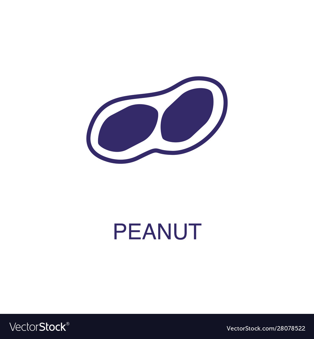 Peanut element in flat simple style on white