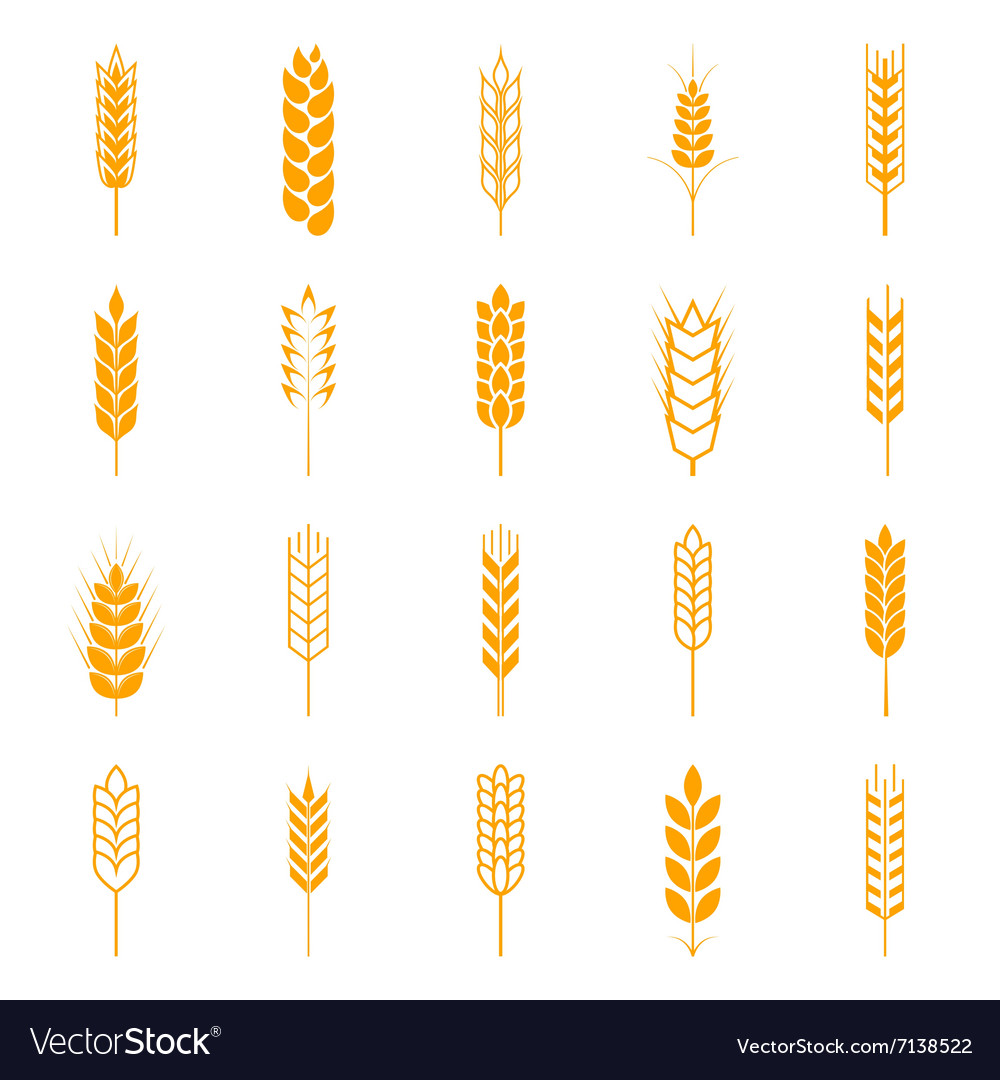 Set simple wheat ears icons Royalty Free Vector Image