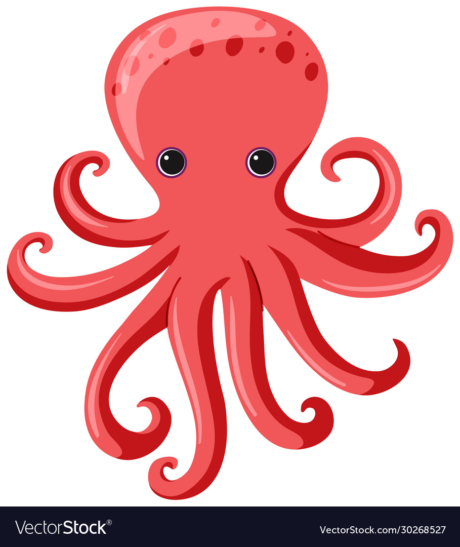 One red octopus on white background Royalty Free Vector