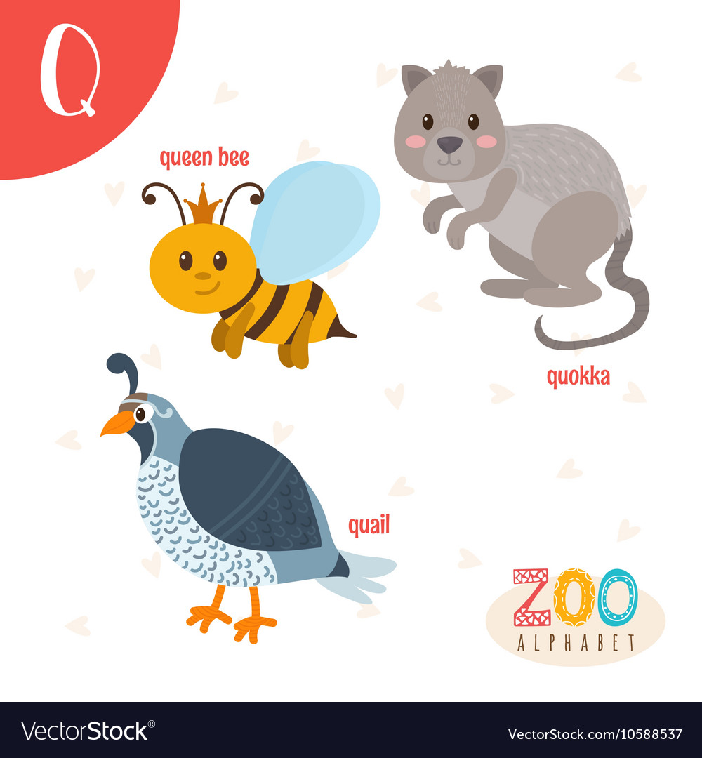 Letter Q Cute Animals Funny Cartoon Animals In Vector Image