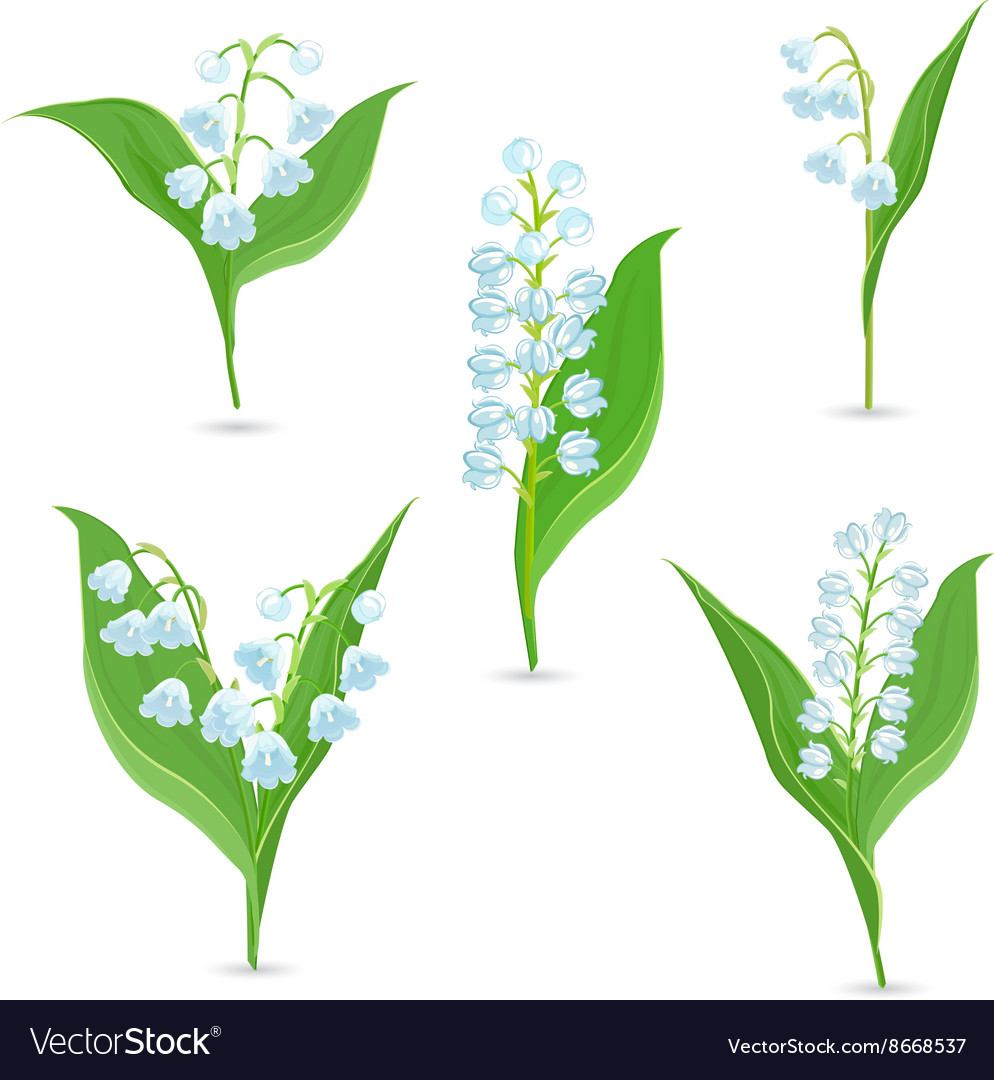 Spring collection of tiny bouquets lily
