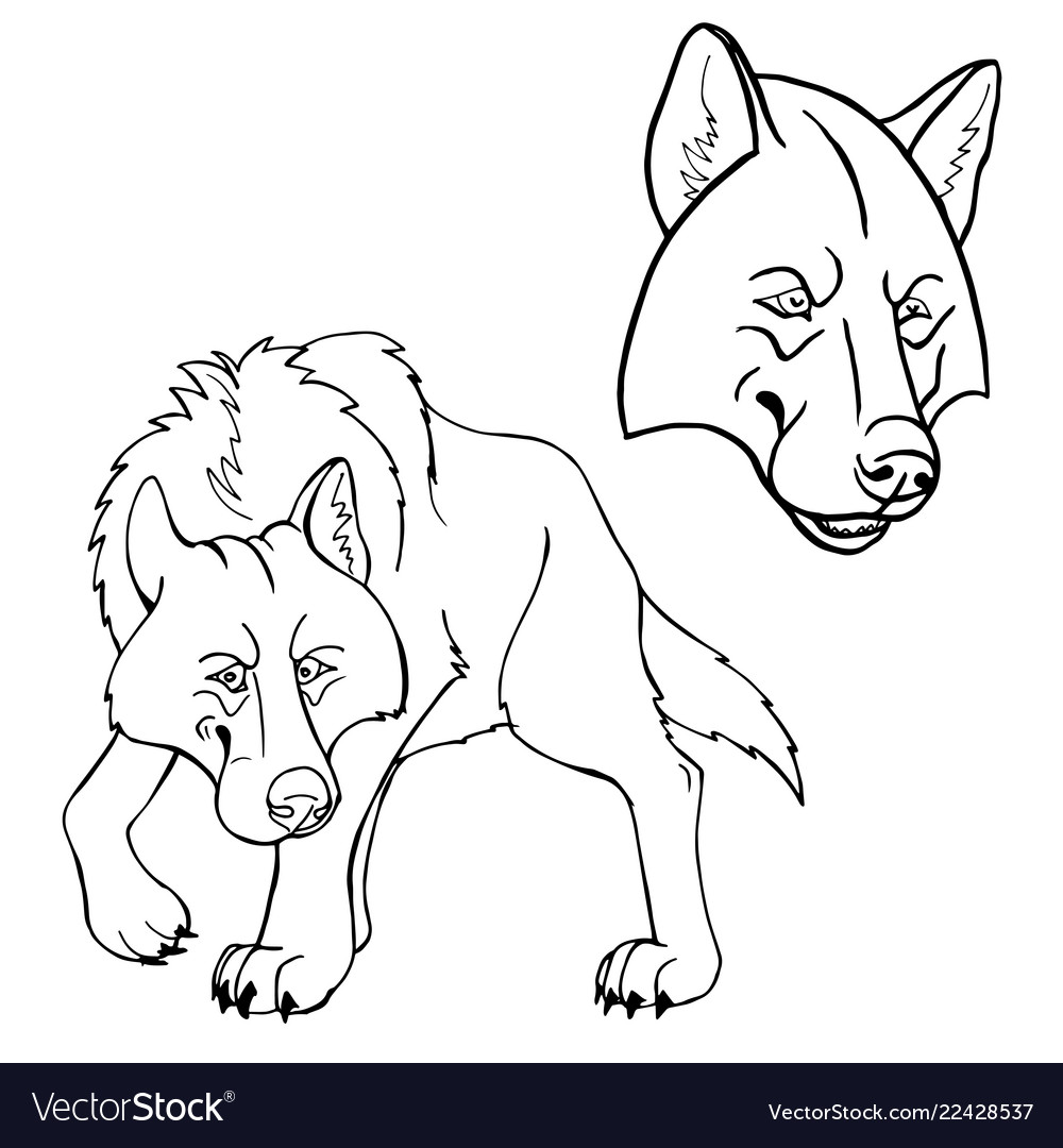 Wolf Royalty Free Vector Image - VectorStock