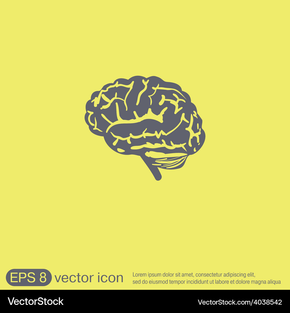 Brain mind and science Royalty Free Vector Image