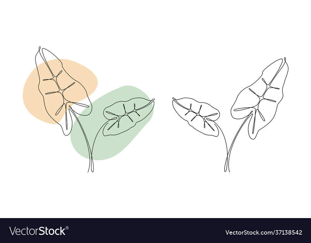 Palm leaves in line art style continuous