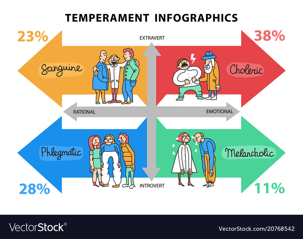 temperament-types-infographics-royalty-free-vector-image