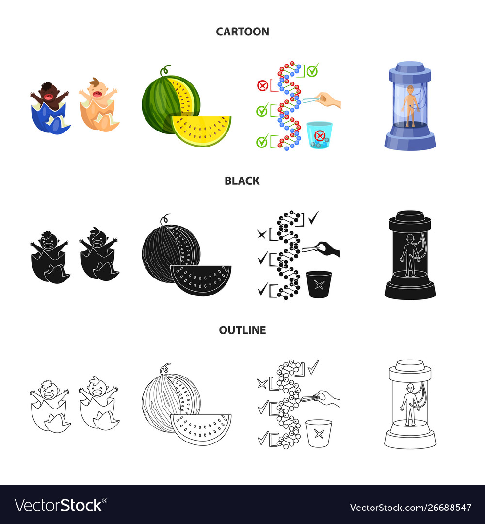 Design test and synthetic sign set vector image Design test and synthetic sign set