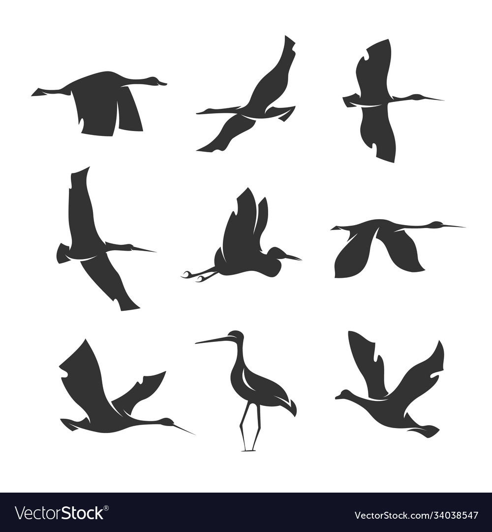 Set silhouettes birds in motion on a white vector image Set silhouettes birds in motion on a white