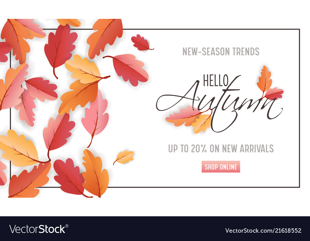 autumn sale background template leaves web banner vector image