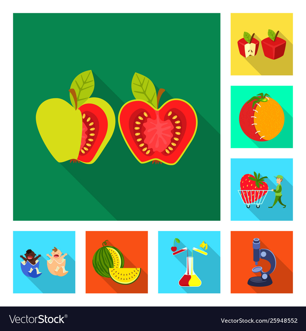 Isolated object test and synthetic sign set vector image Isolated object test and synthetic sign set