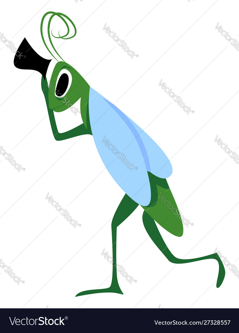 Grasshopper on white background