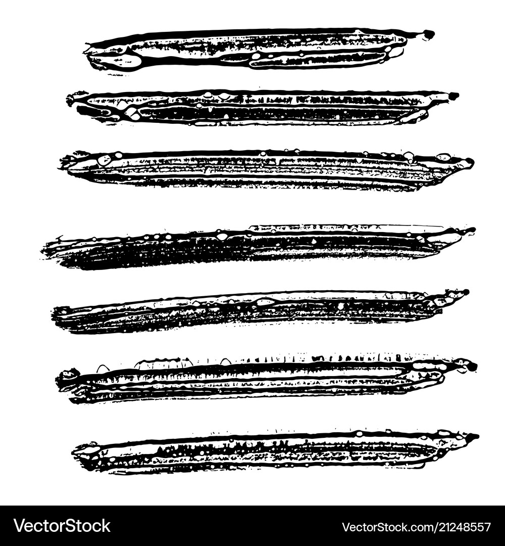 Ink sponge brushes Royalty Free Vector Image - VectorStock